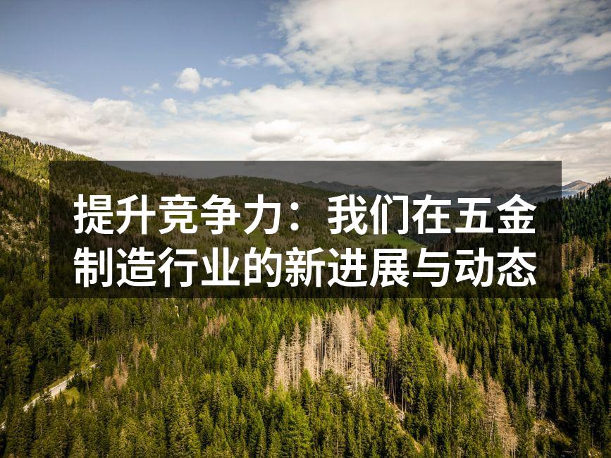 提升竞争力:我们在五金制造行业的新进展与动态
