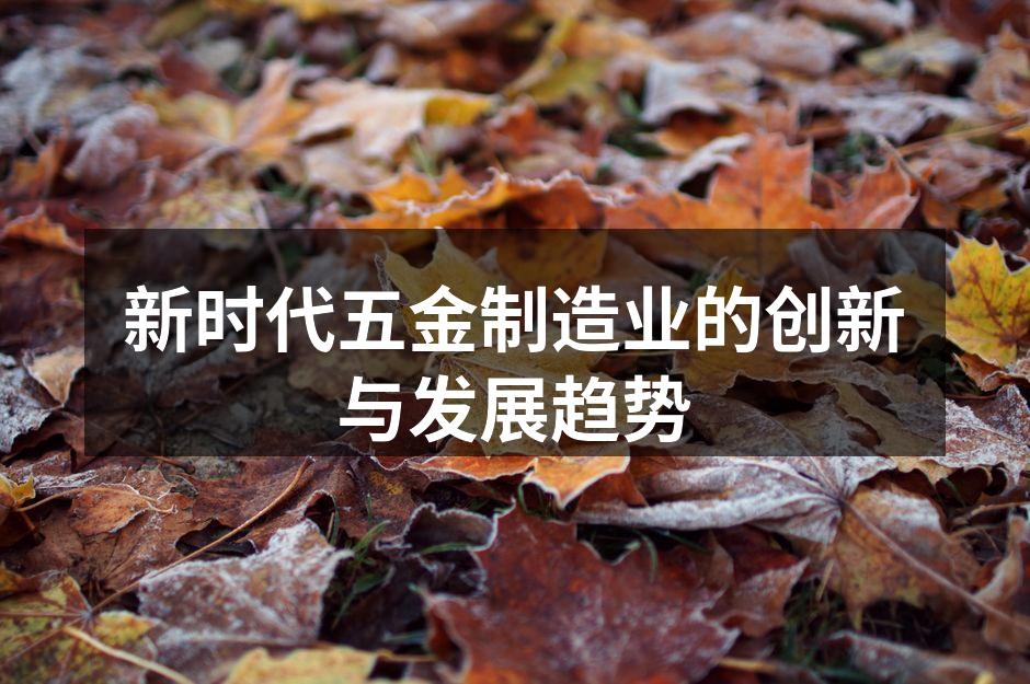新时代五金制造业的创新与发展趋势