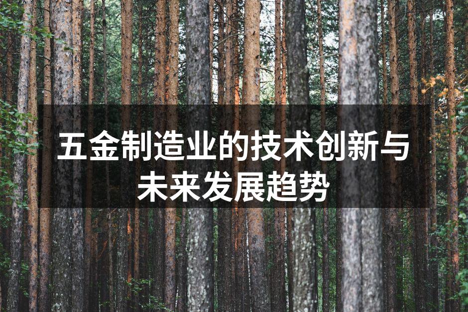 五金制造业的技术创新与未来发展趋势